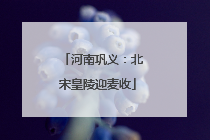 河南巩义：北宋皇陵迎麦收