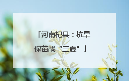 河南杞县：抗旱保苗战“三夏”
