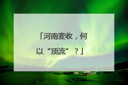 河南麦收，何以“顶流”？