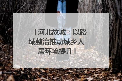 河北故城：以路域整治推动城乡人居环境提升