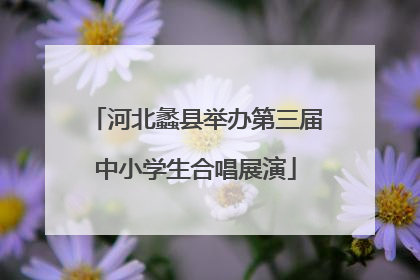 河北蠡县举办第三届中小学生合唱展演