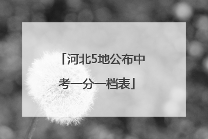 河北5地公布中考一分一档表