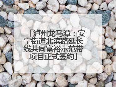 泸州龙马潭：安宁街道北滨路延长线共同富裕示范带项目正式签约