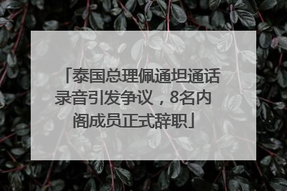 泰国总理佩通坦通话录音引发争议，8名内阁成员正式辞职