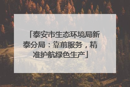 泰安市生态环境局新泰分局：靠前服务，精准护航绿色生产