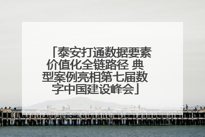 泰安打通数据要素价值化全链路径 典型案例亮相第七届数字中国建设峰会