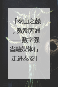 泰山之麓，数潮奔涌——数字强省融媒体行走进泰安