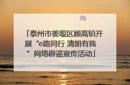 泰州市姜堰区顾高镇开展“e路同行 清朗有我”网络辟谣宣传活动