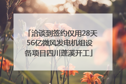洽谈到签约仅用28天 56亿微风发电机组设备项目四川蓬溪开工
