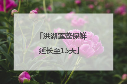 洪湖莲蓬保鲜延长至15天