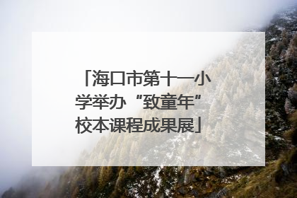 海口市第十一小学举办“致童年”校本课程成果展