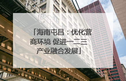 海南屯昌：优化营商环境 促进一二三产业融合发展