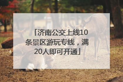 济南公交上线10条景区游玩专线，满20人即可开通