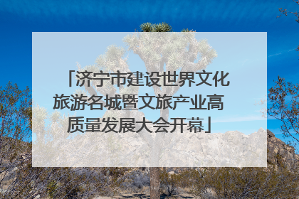 济宁市建设世界文化旅游名城暨文旅产业高质量发展大会开幕