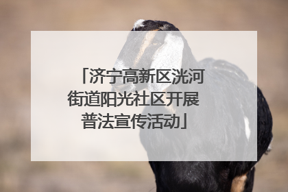 济宁高新区洸河街道阳光社区开展普法宣传活动