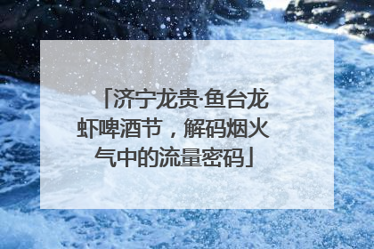 济宁龙贵·鱼台龙虾啤酒节，解码烟火气中的流量密码