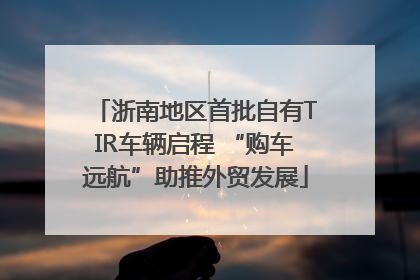 浙南地区首批自有TIR车辆启程 “购车远航”助推外贸发展