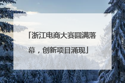 浙江电商大赛圆满落幕，创新项目涌现