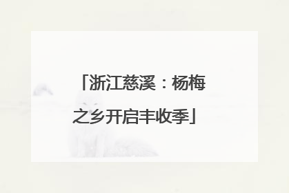 浙江慈溪：杨梅之乡开启丰收季