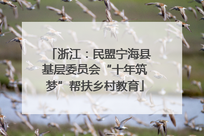 浙江：民盟宁海县基层委员会“十年筑梦”帮扶乡村教育