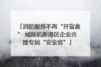 消防服务不再“开盲盒” 城陵矶新港区企业喜提专属“安全官”