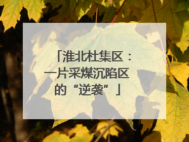 淮北杜集区：一片采煤沉陷区的“逆袭”