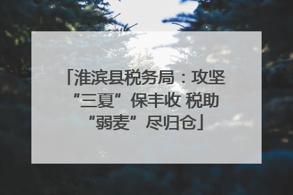 淮滨县税务局：攻坚“三夏”保丰收 税助“弱麦”尽归仓