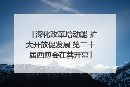 深化改革增动能 扩大开放促发展 第二十届西博会在蓉开幕