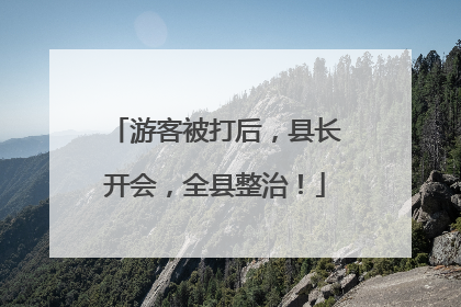 游客被打后，县长开会，全县整治！