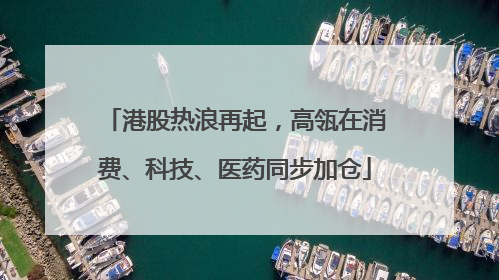 港股热浪再起，高瓴在消费、科技、医药同步加仓