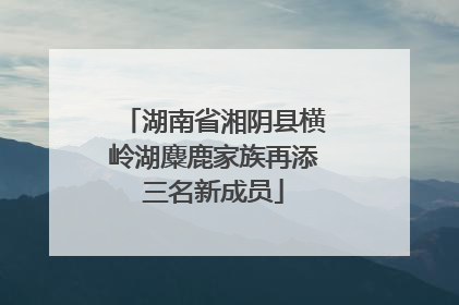 湖南省湘阴县横岭湖麋鹿家族再添三名新成员