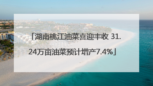 湖南桃江油菜喜迎丰收 31.24万亩油菜预计增产7.4%