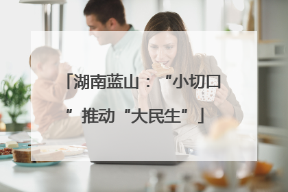 湖南蓝山：“小切口”推动“大民生”