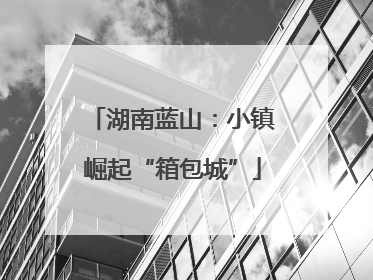 湖南蓝山：小镇崛起“箱包城”