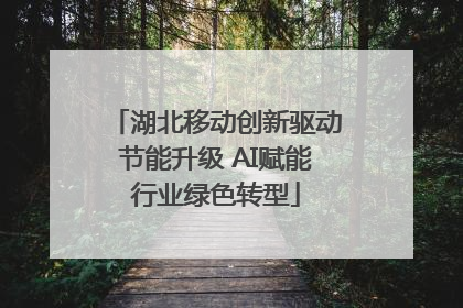 湖北移动创新驱动节能升级 AI赋能行业绿色转型