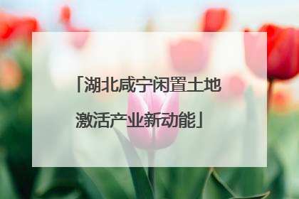 湖北咸宁闲置土地激活产业新动能