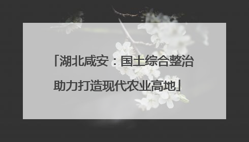 湖北咸安：国土综合整治助力打造现代农业高地