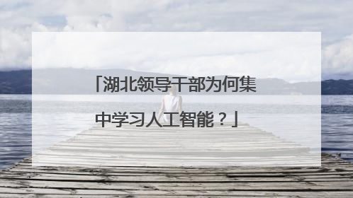 湖北领导干部为何集中学习人工智能？