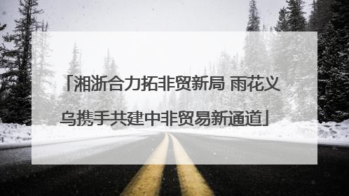 湘浙合力拓非贸新局 雨花义乌携手共建中非贸易新通道