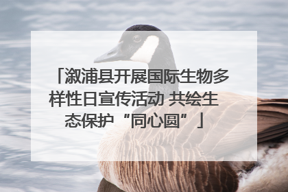 溆浦县开展国际生物多样性日宣传活动 共绘生态保护“同心圆”