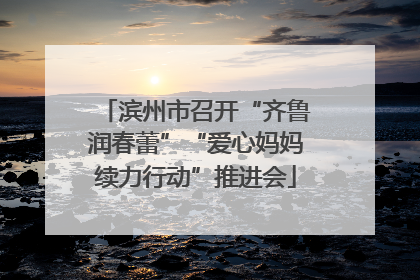 滨州市召开“齐鲁润春蕾”“爱心妈妈续力行动”推进会