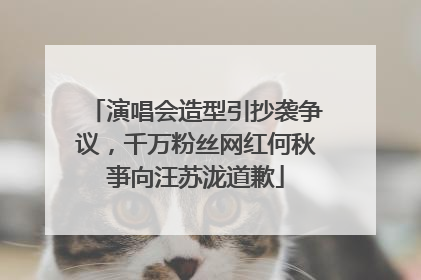 演唱会造型引抄袭争议，千万粉丝网红何秋亊向汪苏泷道歉