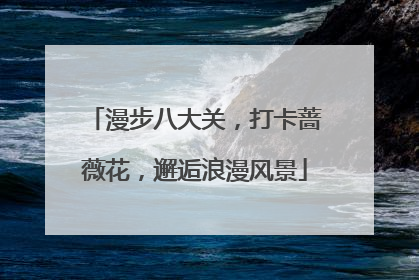 漫步八大关，打卡蔷薇花，邂逅浪漫风景