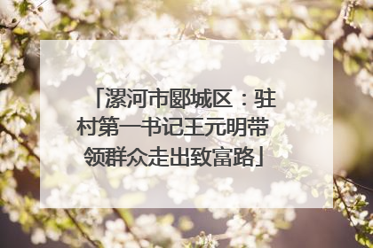 漯河市郾城区：驻村第一书记王元明带领群众走出致富路