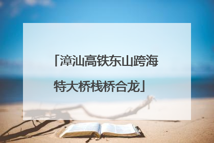漳汕高铁东山跨海特大桥栈桥合龙