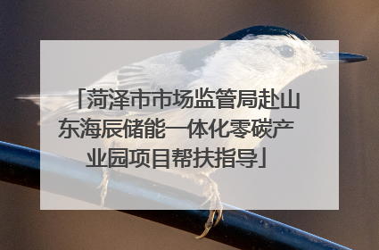 菏泽市市场监管局赴山东海辰储能一体化零碳产业园项目帮扶指导