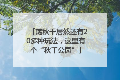荡秋千居然还有20多种玩法，这里有个“秋千公园”