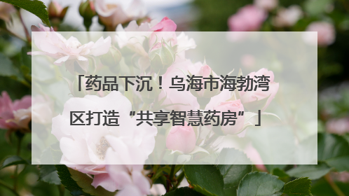 药品下沉！乌海市海勃湾区打造“共享智慧药房”