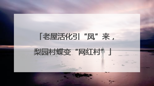 老屋活化引“凤”来，梨园村蝶变“网红村”