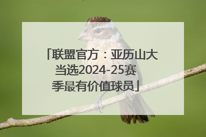 联盟官方：亚历山大当选2024-25赛季最有价值球员